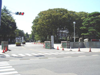 鳥取大学